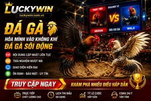 Live casino Luckywin