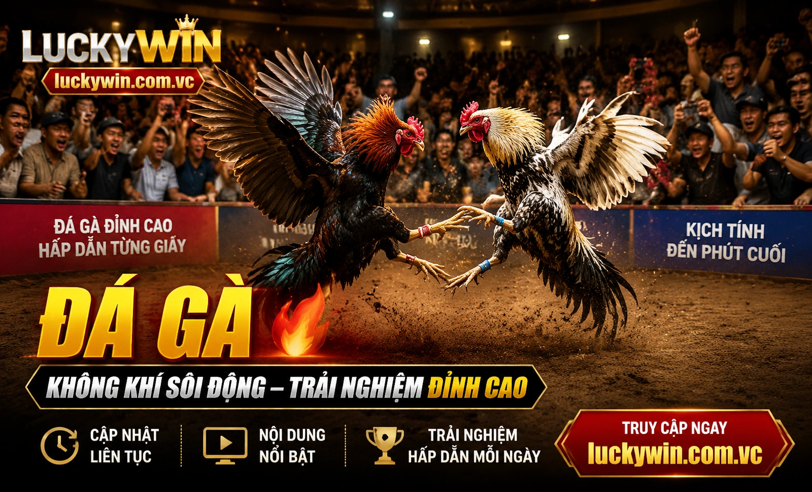 Trận live Đá Gà trên LUCKYWIN Trận live Đá Gà trên LUCKYWIN